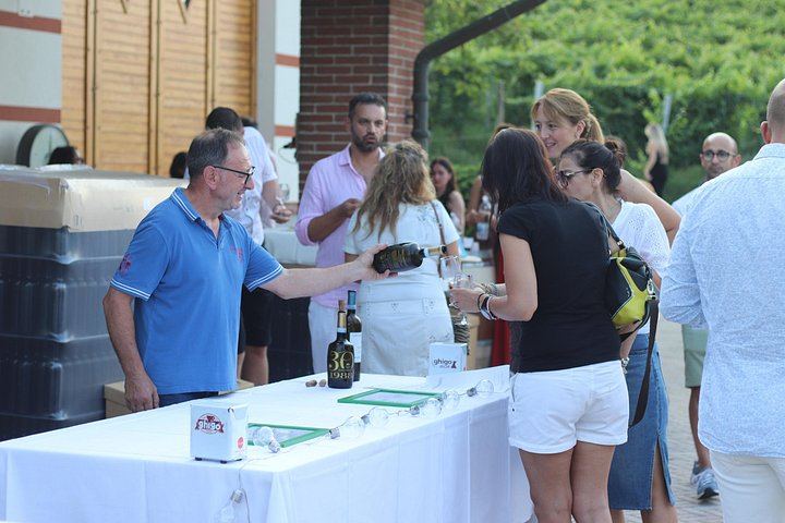 Alba Vineyard Walk, Cellar Visit and Langhe Lunch with 5 Wines at MyLanghe (7/9)