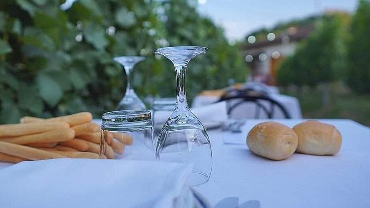 Alba Vineyard Walk, Cellar Visit and Langhe Lunch with 5 Wines at MyLanghe (1/9)