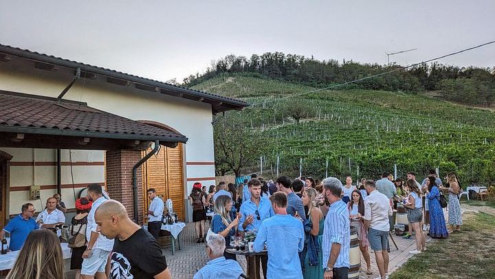 Alba Vineyard Walk, Cellar Visit and Langhe Lunch with 5 Wines at MyLanghe (2/9)