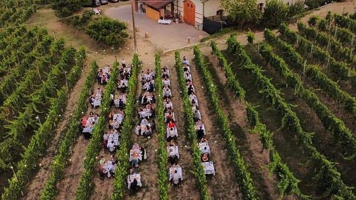 Alba Vineyard Walk, Cellar Visit and Langhe Lunch with 5 Wines at MyLanghe (4/9)