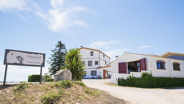Miquel Jané Winery and Vineyard Tour in Penedès with Tasting and Seasonal Menu (1/6)