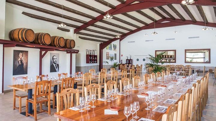 Miquel Jané Winery and Vineyard Tour in Penedès with Tasting and Seasonal Menu (3/6)