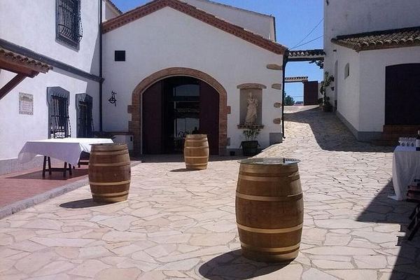 Miquel Jané Winery and Vineyard Tour in Penedès with Tasting and Seasonal Menu