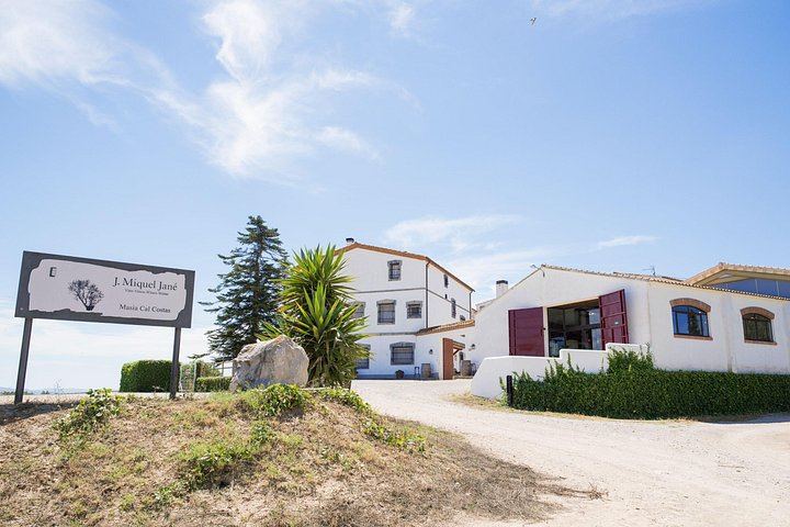 Miquel Jané Winery and Vineyard Tour in Penedès with Tasting and Seasonal Menu (1/6)