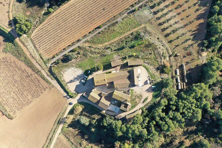 Miquel Jané Winery and Vineyard Tour in Penedès with Tasting and Seasonal Menu (5/6)