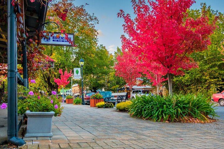 Hahndorf and Barossa Shared Day Tour: Maggie Beer, Two Wineries, Lunch at Kies (9/12)