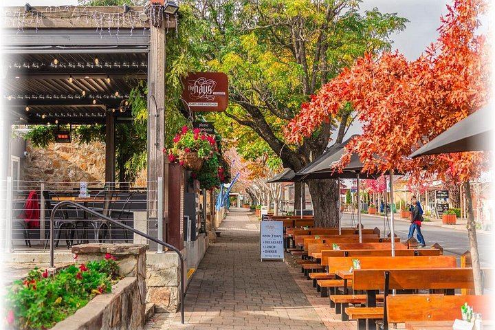 Barossa to Hahndorf Shared Day Tour: Farm Shop, Chocolate, Two Tastings, Lunch (6/12)