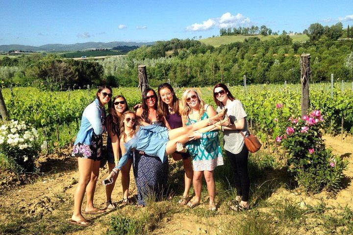 Half-Day Chianti Classico Afternoon from Florence: 13th-Century Castle Cellars, Minivan (1/12)