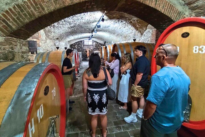 Half-Day Chianti Classico Afternoon from Florence: 13th-Century Castle Cellars, Minivan (5/12)