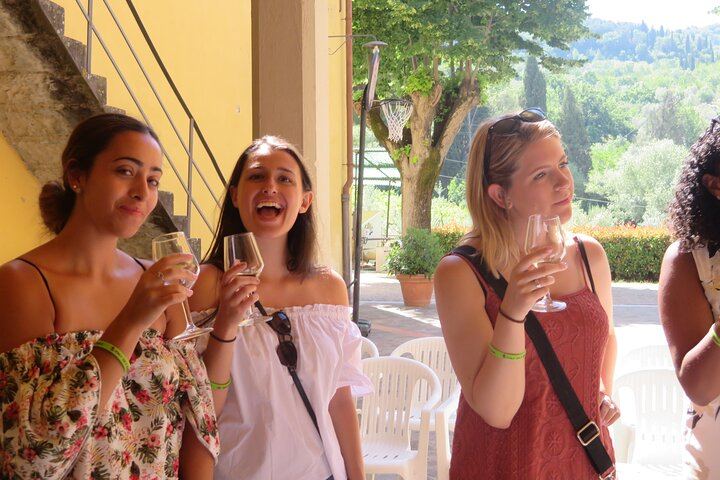 Half-Day Chianti Classico Afternoon from Florence: 13th-Century Castle Cellars, Minivan (3/12)