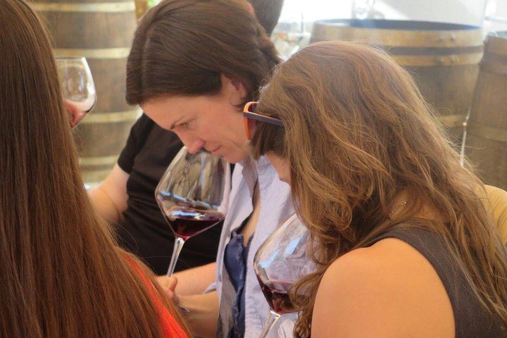 Half-Day Chianti Classico Afternoon from Florence: 13th-Century Castle Cellars, Minivan (10/12)