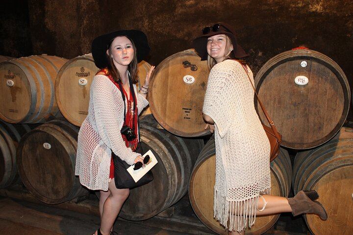 Half-Day Chianti Classico Afternoon from Florence: 13th-Century Castle Cellars, Minivan (6/12)
