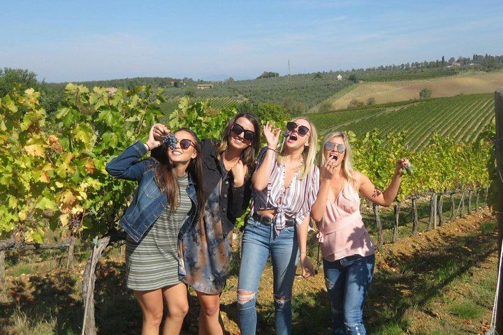Half-Day Chianti Classico Afternoon from Florence: 13th-Century Castle Cellars, Minivan (9/12)