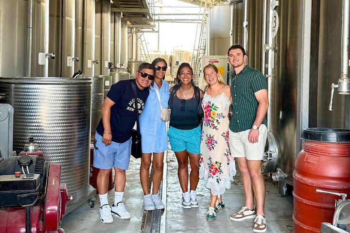 Half-Day Chianti Classico Afternoon from Florence: 13th-Century Castle Cellars, Minivan (2/12)