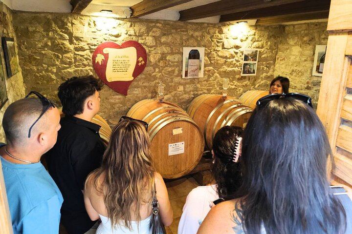 Half-Day Chianti Classico Afternoon from Florence: 13th-Century Castle Cellars, Minivan (11/12)