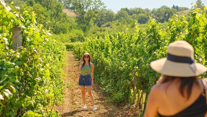 Half-Day Chianti Coach Trip from Florence with Two Winery Tastings at Sunset (2/12)