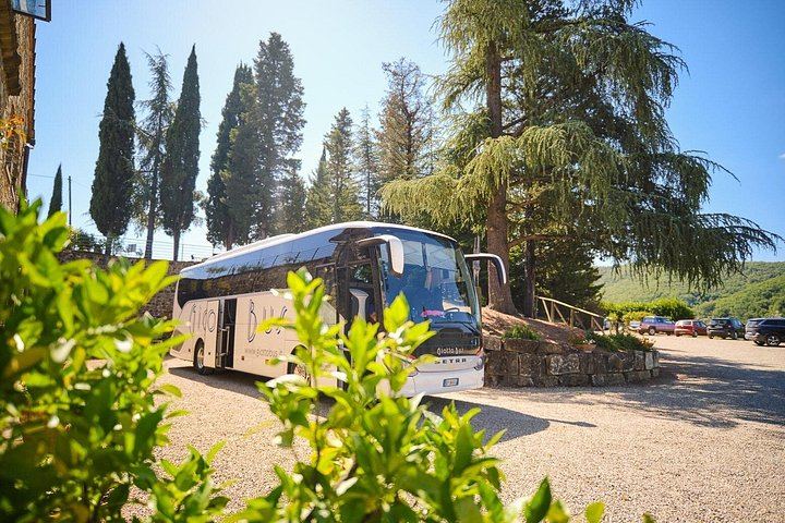 Half-Day Chianti Coach Trip from Florence with Two Winery Tastings at Sunset (11/12)
