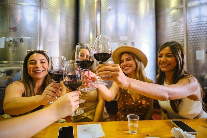Half-Day Chianti Coach Trip from Florence with Two Winery Tastings at Sunset (10/12)