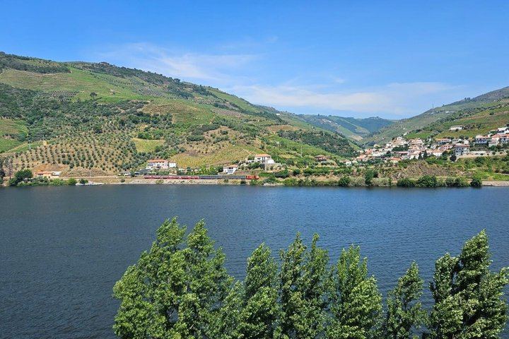 Half-Day Douro Valley Tour from Porto: Winery Lunch, River Cruise, Lapa Church Start (4/12)