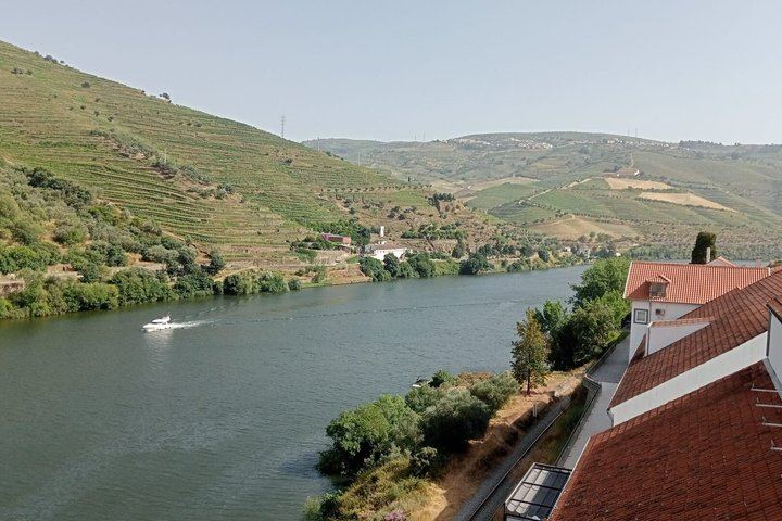 Half-Day Douro Valley Tour from Porto: Winery Lunch, River Cruise, Lapa Church Start (7/12)