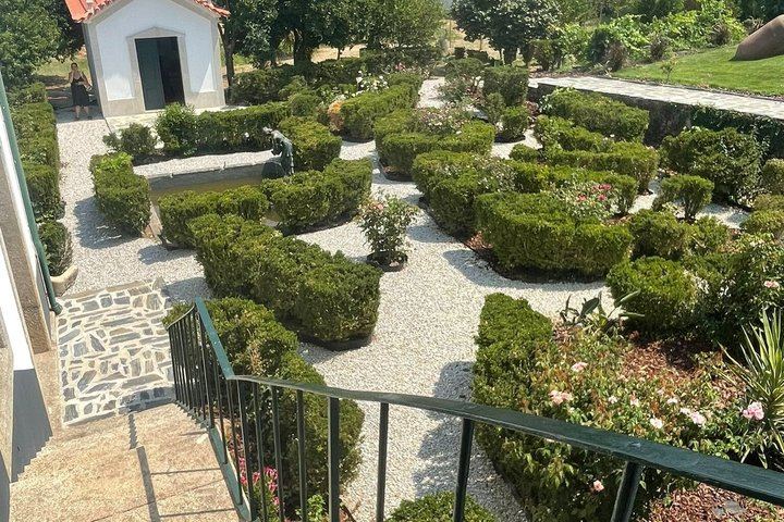 Half-Day Douro Valley Tour from Porto: Winery Lunch, River Cruise, Lapa Church Start (9/12)