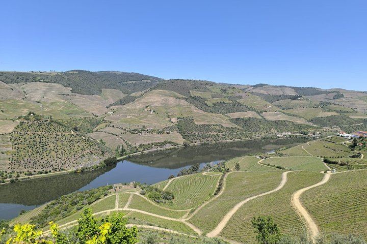 Half-Day Douro Valley Tour from Porto: Winery Lunch, River Cruise, Lapa Church Start (12/12)