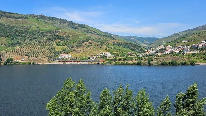 Half-Day Douro Valley Tour from Porto: Winery Lunch, River Cruise, Lapa Church Start (4/12)