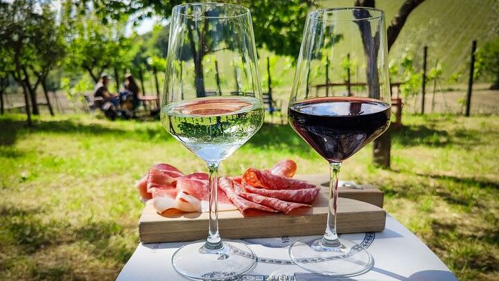 Chianti Coach Wine Tour from Florence: Poggio ai Laghi, Tenuta Torciano and Monteriggioni (1/12)