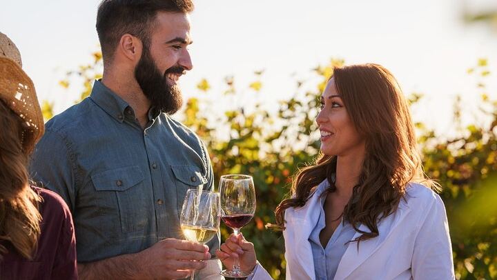 Chianti Coach Wine Tour from Florence: Poggio ai Laghi, Tenuta Torciano and Monteriggioni (2/12)