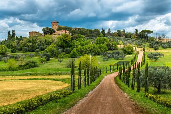 Chianti Coach Wine Tour from Florence: Poggio ai Laghi, Tenuta Torciano and Monteriggioni