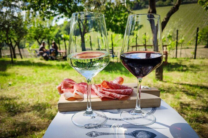 Chianti Coach Wine Tour from Florence: Poggio ai Laghi, Tenuta Torciano and Monteriggioni (1/12)