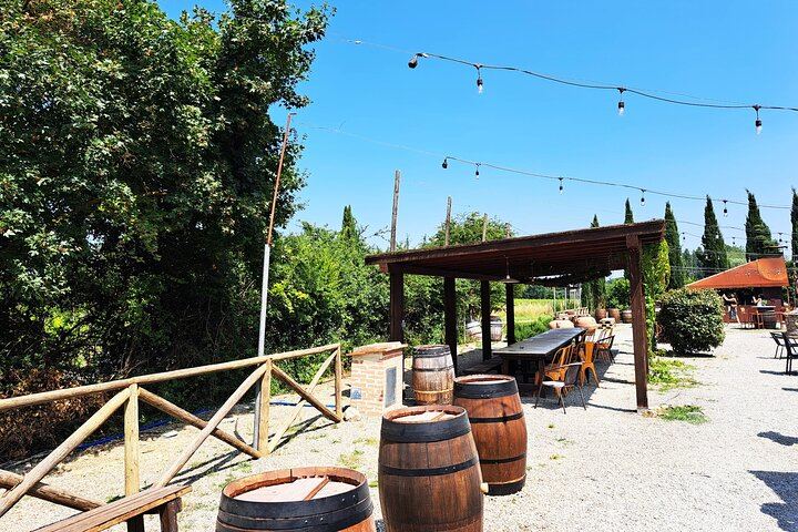 Chianti Coach Wine Tour from Florence: Poggio ai Laghi, Tenuta Torciano and Monteriggioni (10/12)