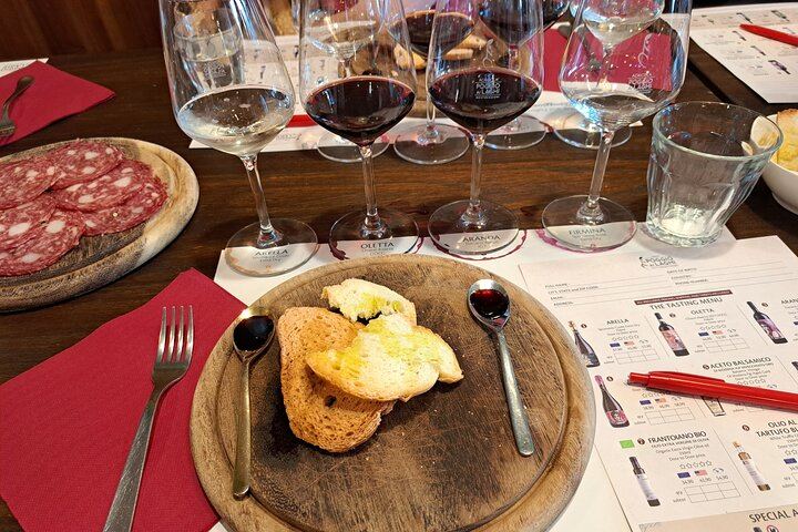 Chianti Coach Wine Tour from Florence: Poggio ai Laghi, Tenuta Torciano and Monteriggioni (11/12)