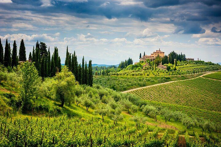 Chianti Coach Wine Tour from Florence: Poggio ai Laghi, Tenuta Torciano and Monteriggioni (6/12)