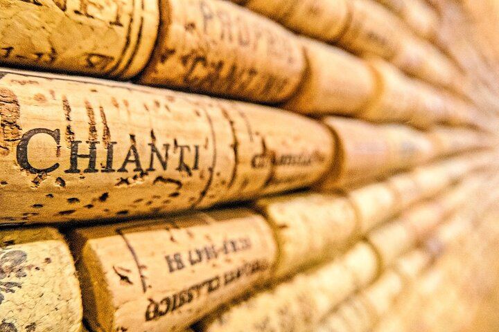 Chianti Coach Wine Tour from Florence: Poggio ai Laghi, Tenuta Torciano and Monteriggioni (8/12)