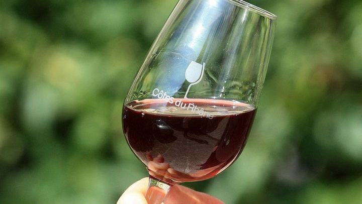 Half-Day Côtes du Rhône Crus Tour from Avignon: Two Wineries, Morning or Afternoon (4/8)