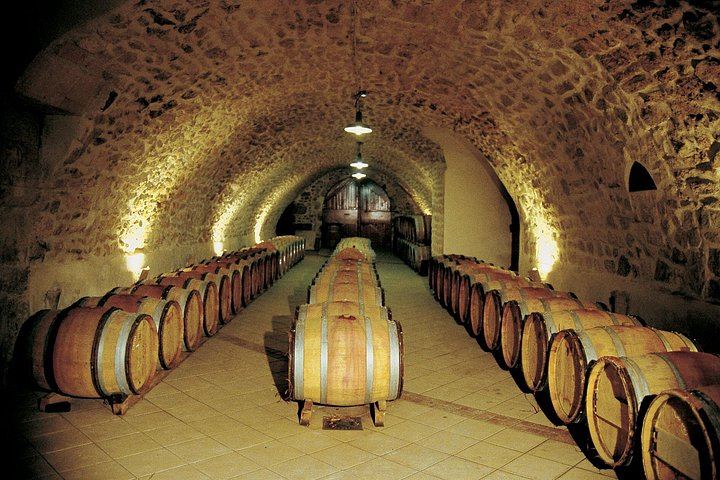 Half-Day Côtes du Rhône Crus Tour from Avignon: Two Wineries, Morning or Afternoon (7/8)