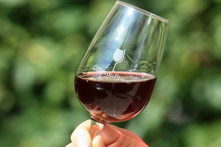 Half-Day Côtes du Rhône Crus Tour from Avignon: Two Wineries, Morning or Afternoon (4/8)