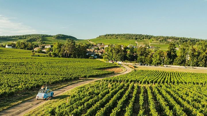 Half-Day Burgundy Wine Route from Beaune in a Classic Citroën 2CV with Five-Wine Tasting (3/10)