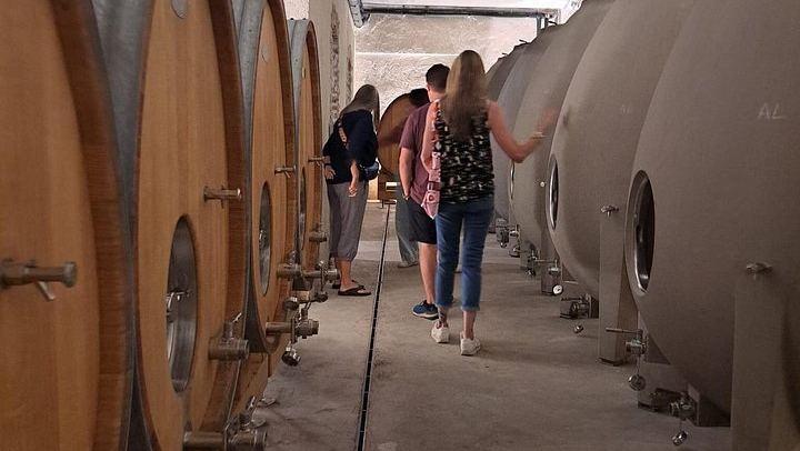 Half-Day Burgundy Wine Route from Beaune in a Classic Citroën 2CV with Five-Wine Tasting (2/10)