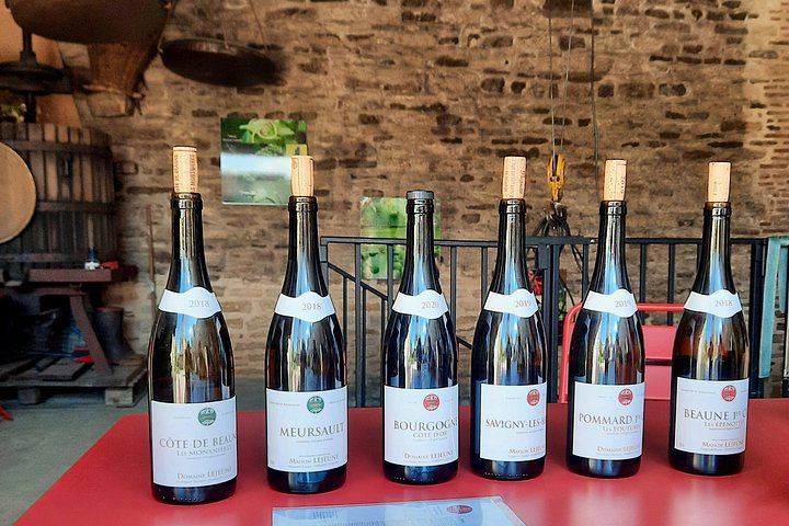Half-Day Burgundy Wine Route from Beaune in a Classic Citroën 2CV with Five-Wine Tasting (7/10)