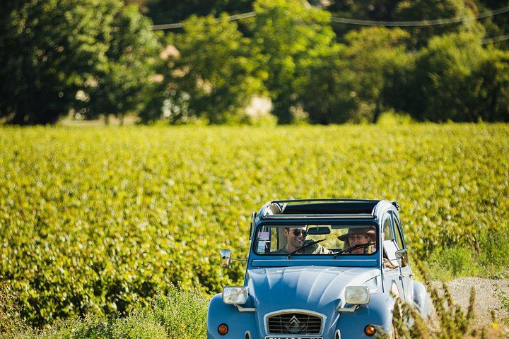 Half-Day Burgundy Wine Route from Beaune in a Classic Citroën 2CV with Five-Wine Tasting (10/10)