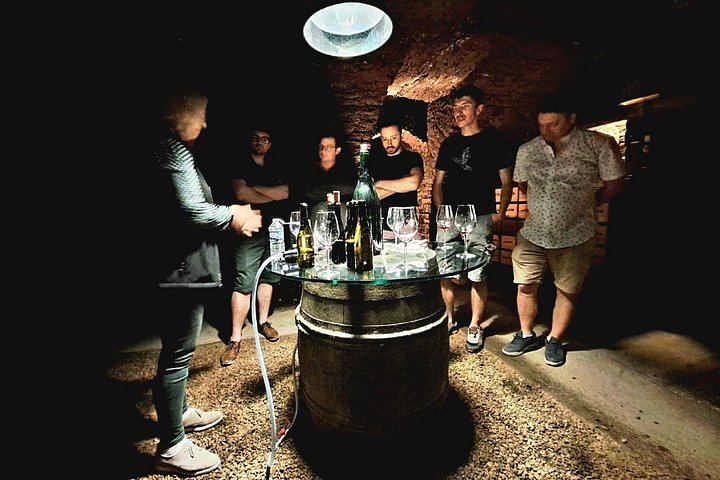 Half-Day Burgundy Wine Route from Beaune in a Classic Citroën 2CV with Five-Wine Tasting (5/10)