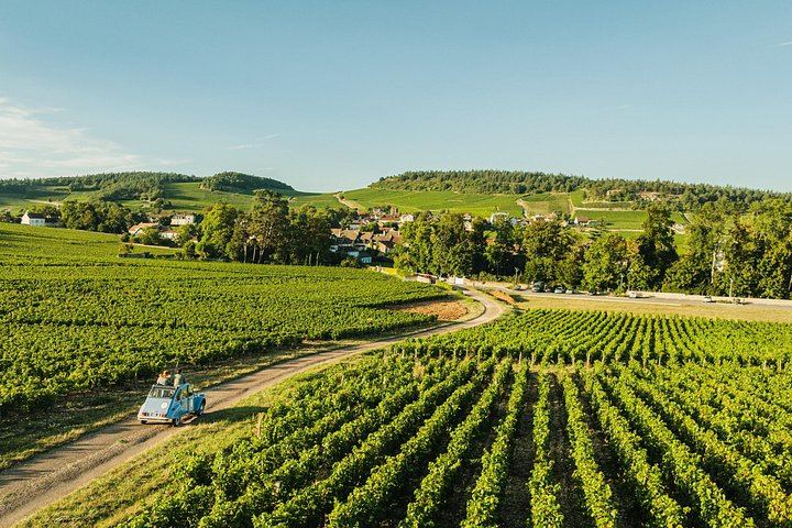 Half-Day Burgundy Wine Route from Beaune in a Classic Citroën 2CV with Five-Wine Tasting (3/10)
