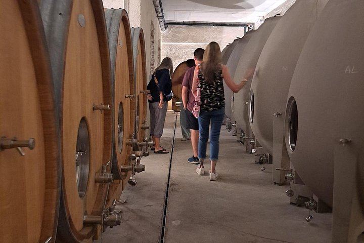 Half-Day Burgundy Wine Route from Beaune in a Classic Citroën 2CV with Five-Wine Tasting (2/10)