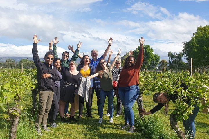 Half-Day Marlborough Wine Tour with a Winemaker Guide, 3-4 Wineries and Lunch (6/10)