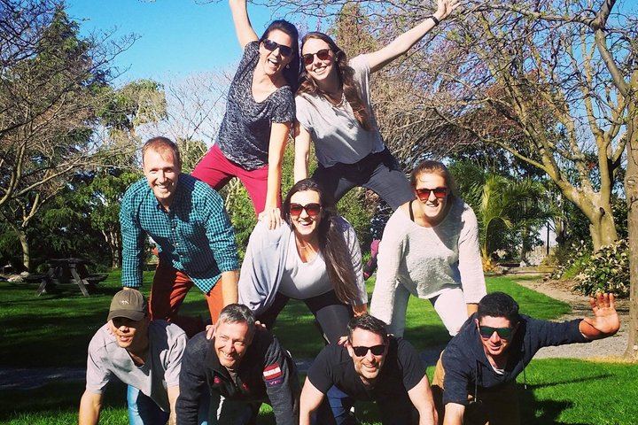 Half-Day Marlborough Wine Tour with a Winemaker Guide, 3-4 Wineries and Lunch (10/10)
