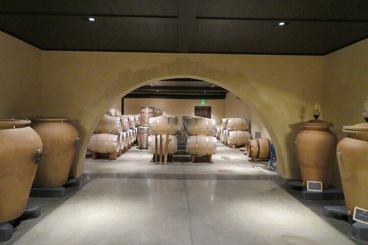 Saint-Émilion Private Sidecar Tour: Vineyards, Pomerol, Grand Cru Classé (7/11)