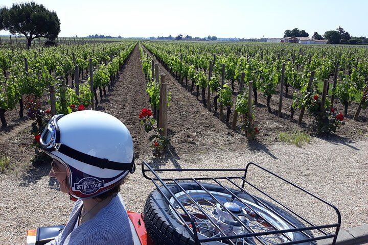 Saint-Émilion Private Sidecar Tour: Vineyards, Pomerol, Grand Cru Classé (9/11)