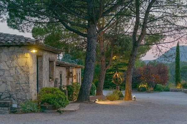 Half-Day Private Pla de Bages Wine and Olive Oil Tasting from Barcelona, Montserrat Views